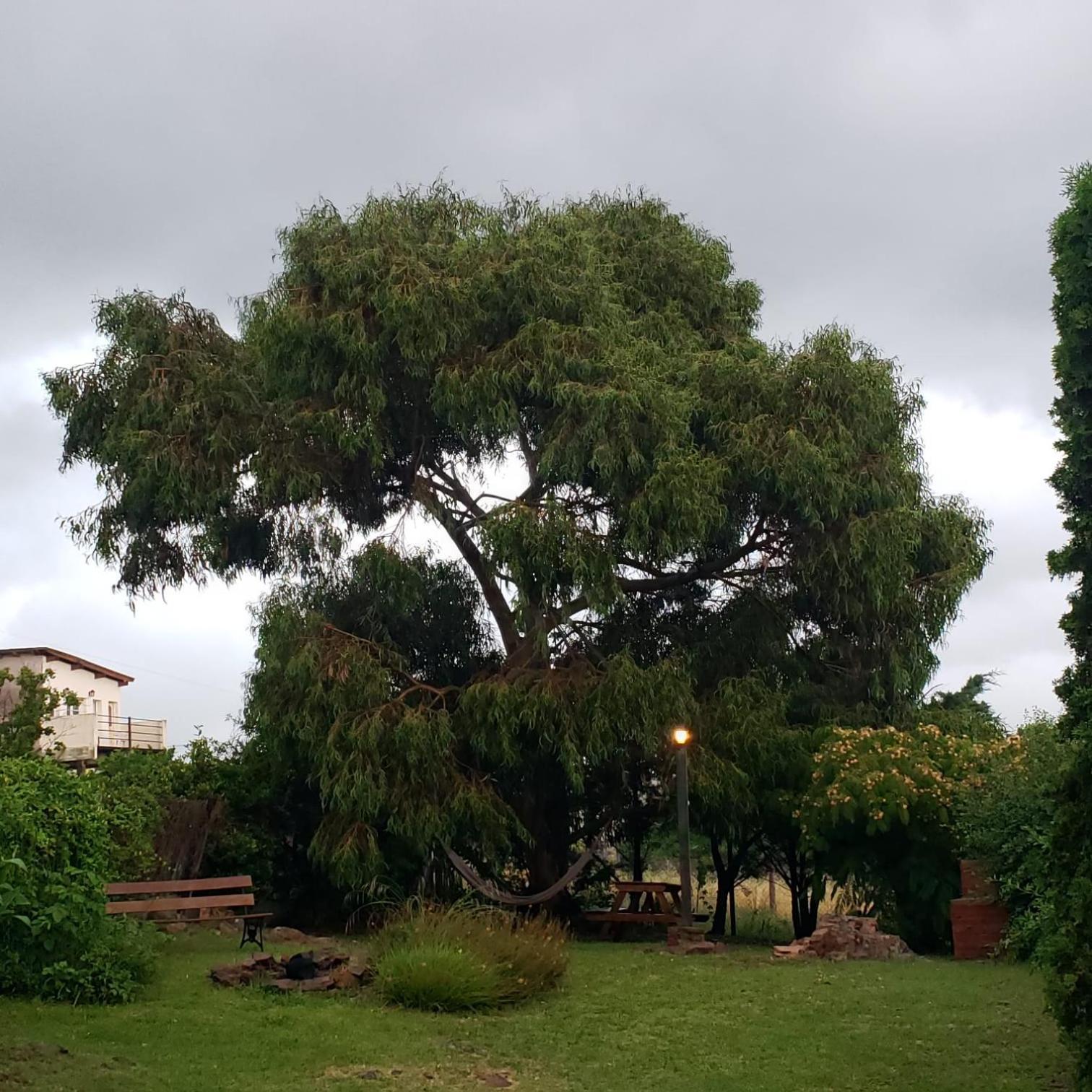 Casa Bordo, B & B Tandil Exteriör bild